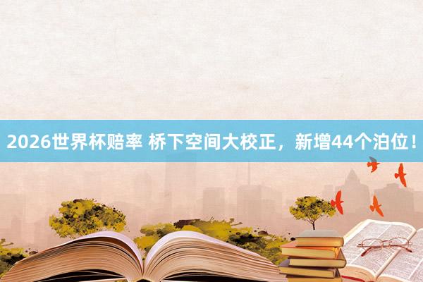 2026世界杯赔率 桥下空间大校正,新增44个泊位!