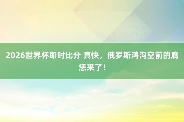 2026世界杯即时比分 真快,俄罗斯鸿沟空前的膺惩来了!