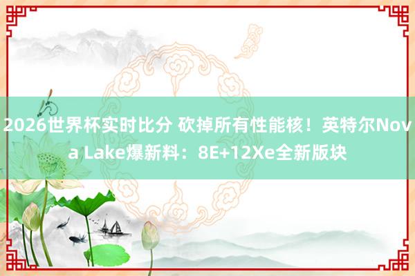 2026世界杯实时比分 砍掉所有性能核!英特尔Nova Lake爆新料:8E+12Xe全新版块