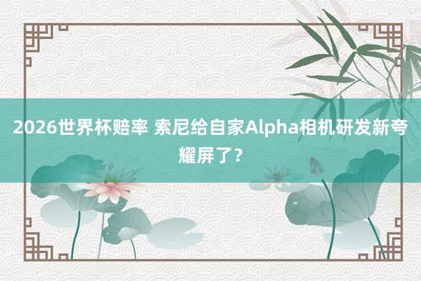 2026世界杯赔率 索尼给自家Alpha相机研发新夸耀屏了?