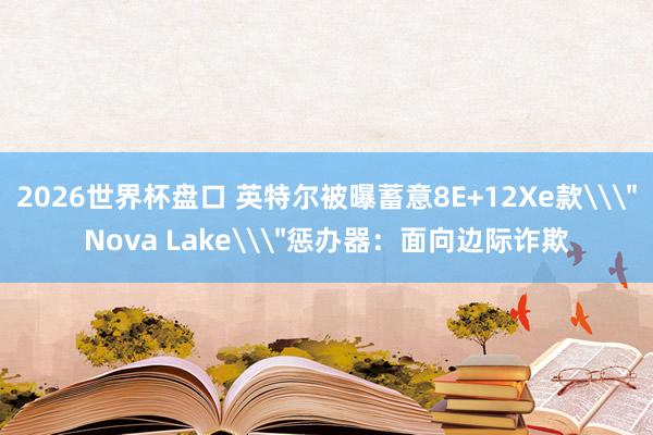 2026世界杯盘口 英特尔被曝蓄意8E+12Xe款\