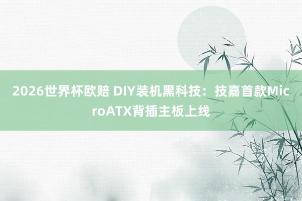 2026世界杯欧赔 DIY装机黑科技:技嘉首款MicroATX背插主板上线