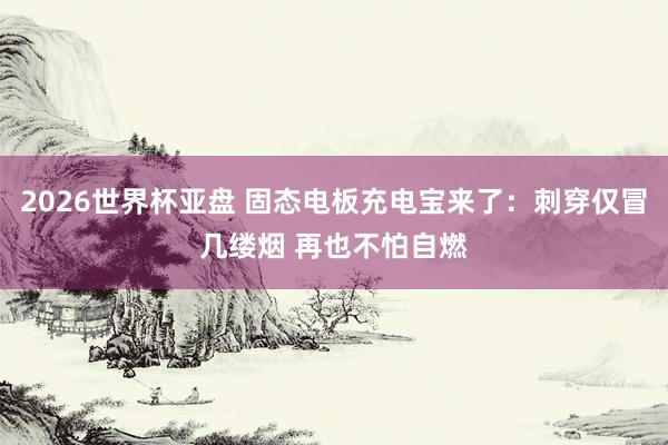 2026世界杯亚盘 固态电板充电宝来了:刺穿仅冒几缕烟 再也不怕自燃