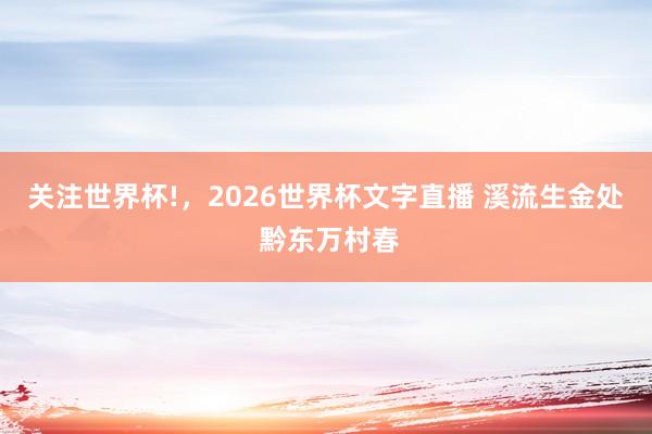 关注世界杯!,2026世界杯文字直播 溪流生金处 黔东万村春