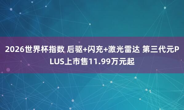 2026世界杯指数 后驱+闪充+激光雷达 第三代元PLUS上市售11.99万元起