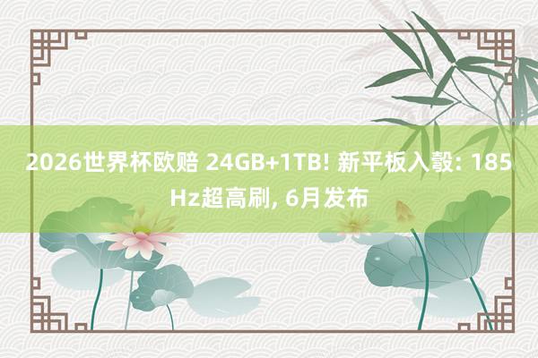 2026世界杯欧赔 24GB+1TB! 新平板入彀: 185Hz超高刷, 6月发布