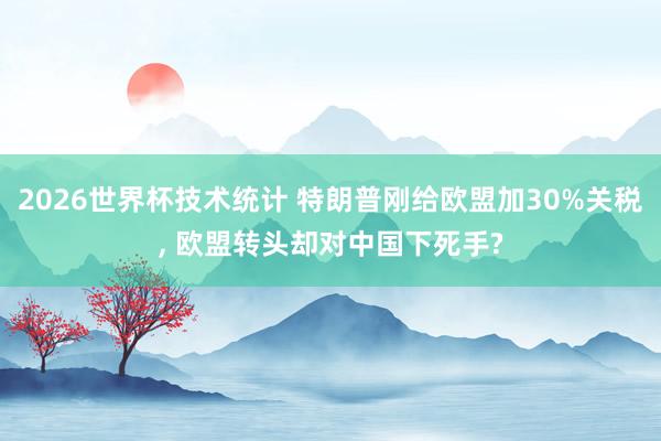 2026世界杯技术统计 特朗普刚给欧盟加30%关税, 欧盟转头却对中国下死手?
