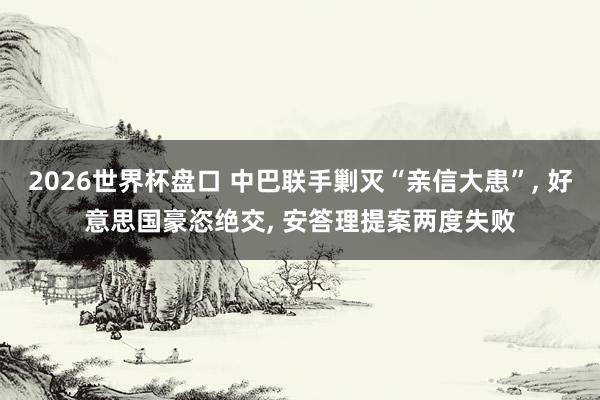 2026世界杯盘口 中巴联手剿灭“亲信大患”, 好意思国豪恣绝交, 安答理提案两度失败