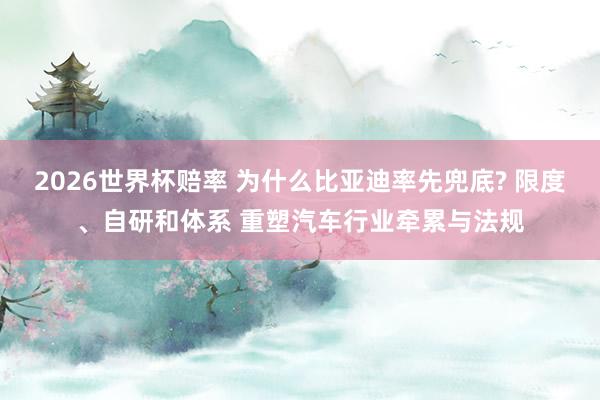 2026世界杯赔率 为什么比亚迪率先兜底? 限度、自研和体系 重塑汽车行业牵累与法规