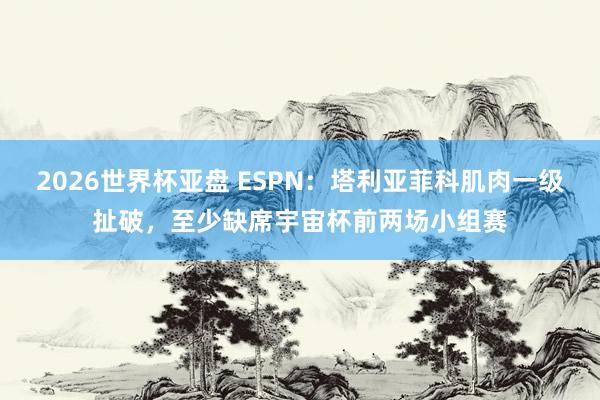 2026世界杯亚盘 ESPN:塔利亚菲科肌肉一级扯破,至少缺席宇宙杯前两场小组赛