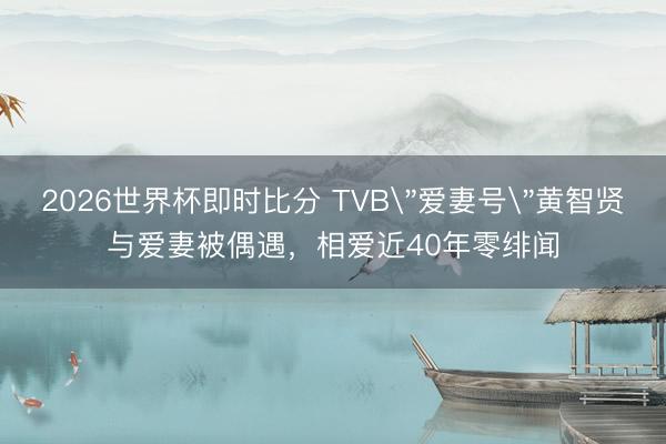 2026世界杯即时比分 TVB